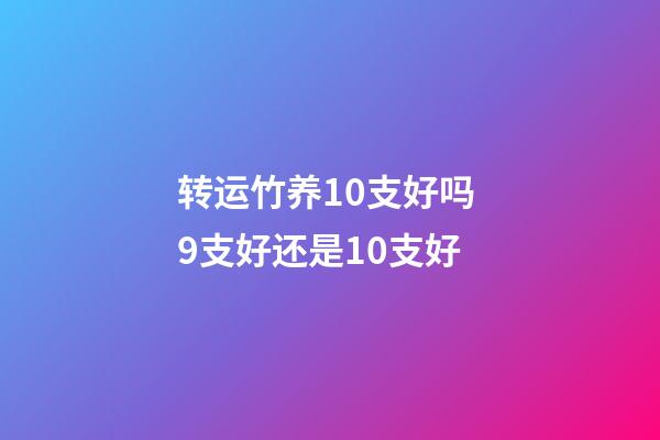 转运竹养10支好吗 9支好还是10支好